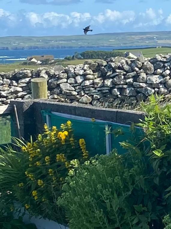 Journey'S End B&B Milltown Malbay Bagian luar foto