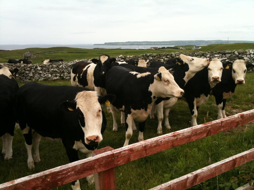 Journey'S End B&B Milltown Malbay Bagian luar foto